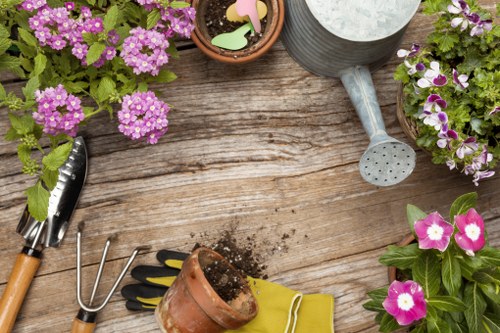 Professional lawn mowing service in Maida Vale
