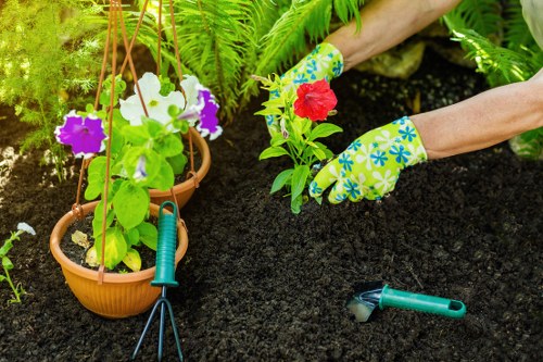Professionals performing garden clearance in Maida Vale