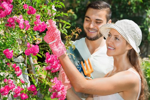 Healthy trees maintained by experts