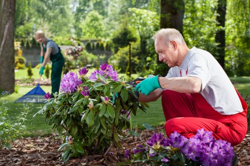 Environmental-friendly tree lopping practices