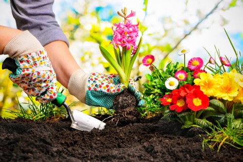 Maida Vale outdoor space showcasing sustainable garden design