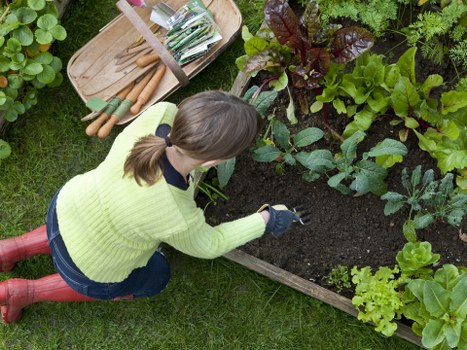 Diverse plant selection in a well-maintained Maida Vale garden