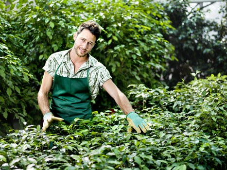 Gardener mowing a beautiful lawn